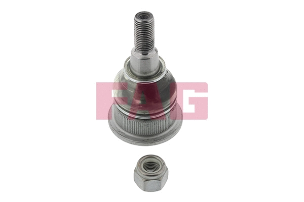 Ball Joint (825 0164 10)