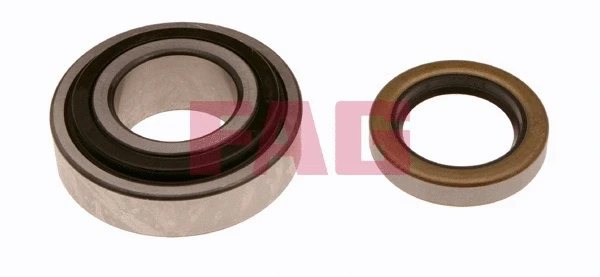 Wheel Bearing Kit (713 6062 50)