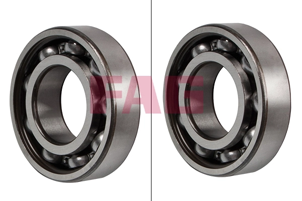 Bearing (6206 C3)