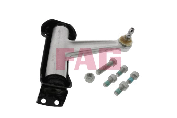Control/Trailing Arm, wheel suspension (821 0202 10)