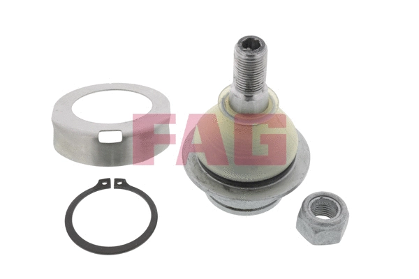 Ball Joint (825 0104 10)