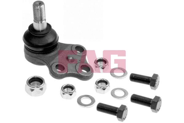 Ball Joint (825 0244 10)