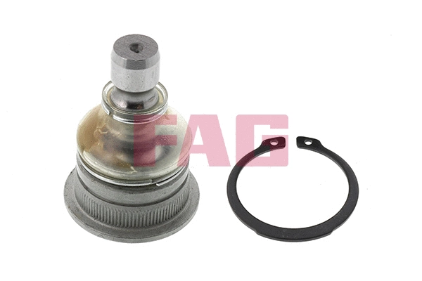 Ball Joint (825 0309 10)