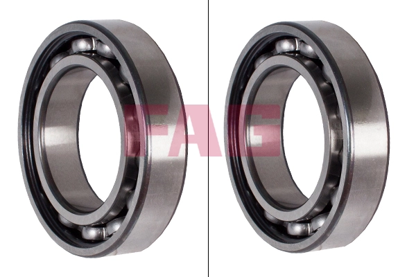 Bearing (6009)