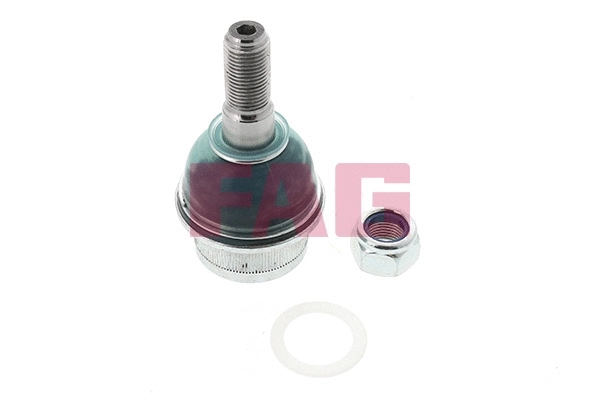 Ball Joint (825 0243 10)