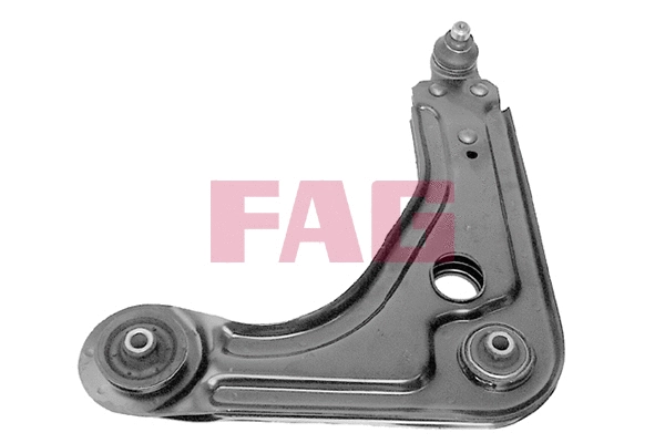 Control/Trailing Arm, wheel suspension (821 0229 10)