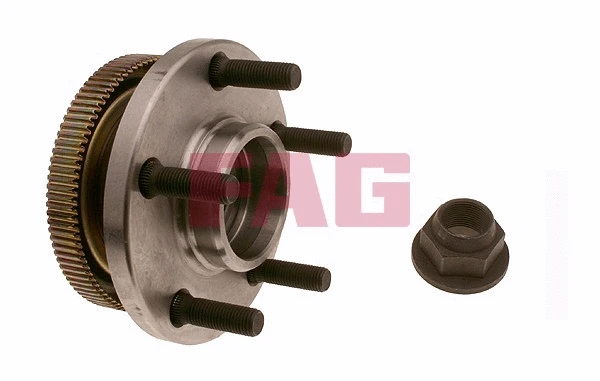 Wheel Bearing Kit (713 6600 10)