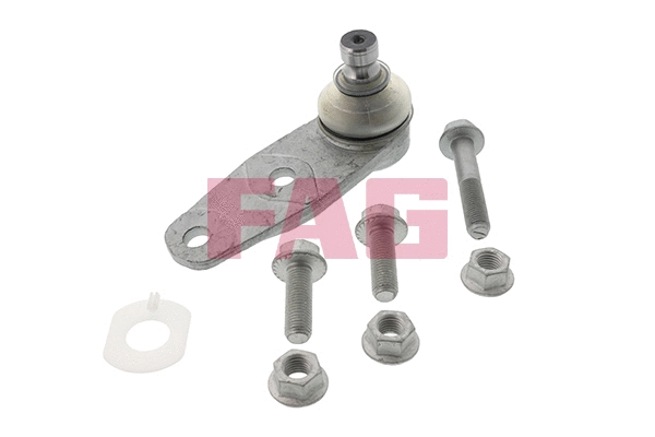 Ball Joint (825 0259 10)