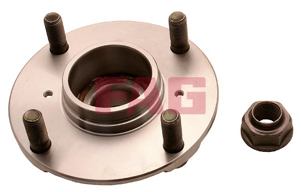 Wheel Bearing Kit (713 6234 10)