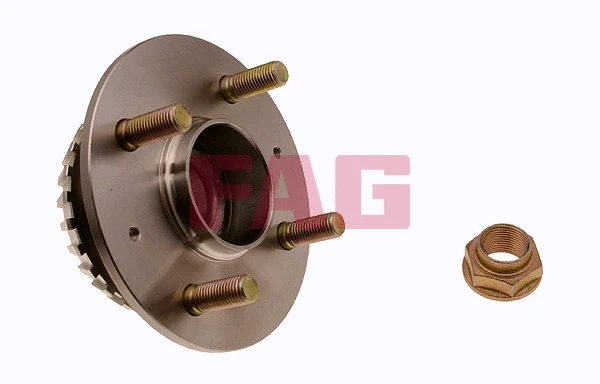Wheel Bearing Kit (713 6173 90)