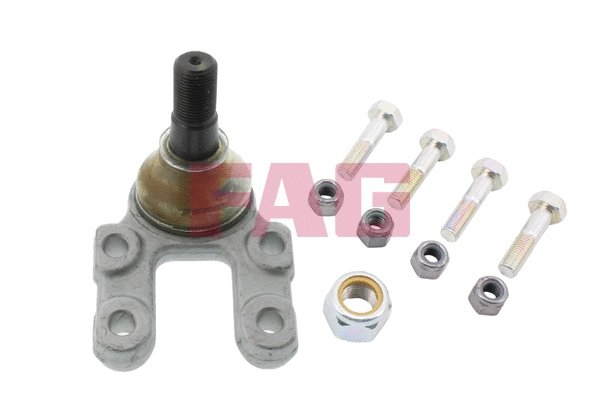 Ball Joint (825 0231 10)