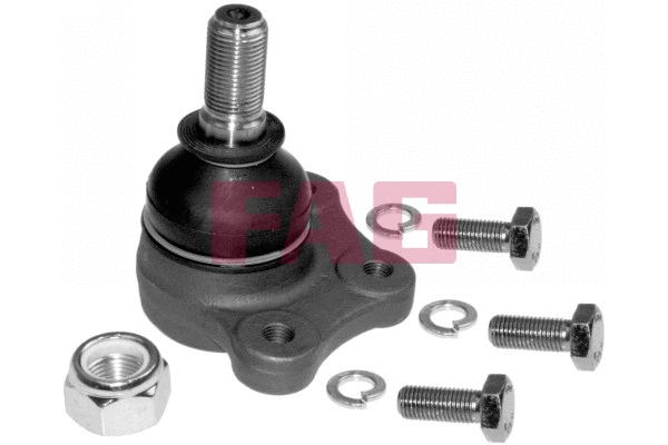 Ball Joint (825 0023 10)