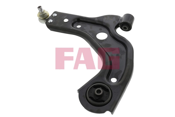 Control/Trailing Arm, wheel suspension (821 0259 10)