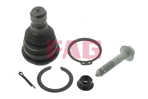 Ball Joint (825 0081 10)