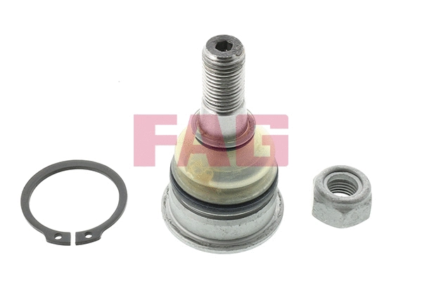 Ball Joint (825 0229 10)