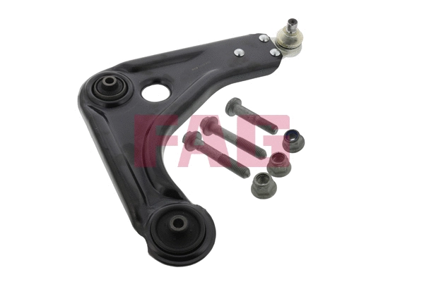 Control/Trailing Arm, wheel suspension (821 0248 10)
