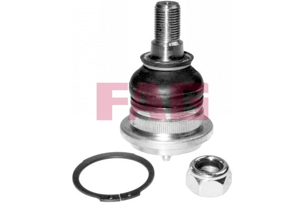 Ball Joint (825 0034 10)