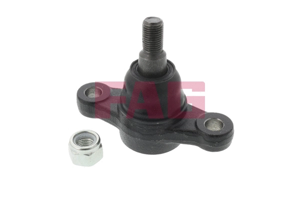 Ball Joint (825 0080 10)