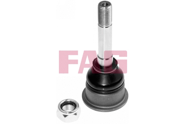 Ball Joint (825 0120 10)