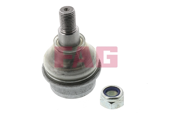 Ball Joint (825 0060 10)