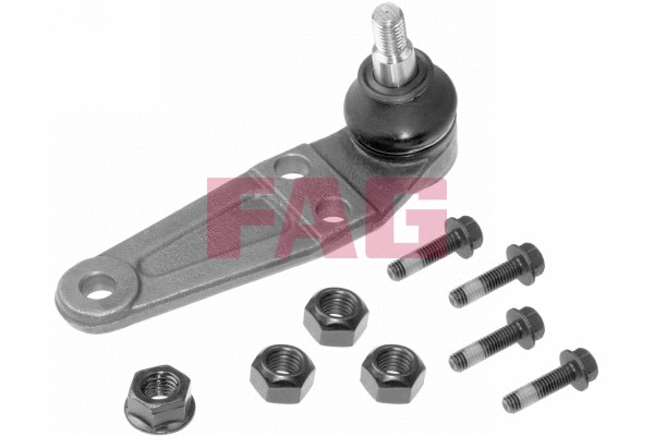 Ball Joint (825 0216 10)