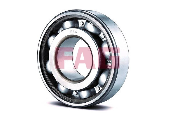 Bearing (6304.C3)