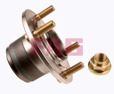 Wheel Bearing Kit (713 6192 80)