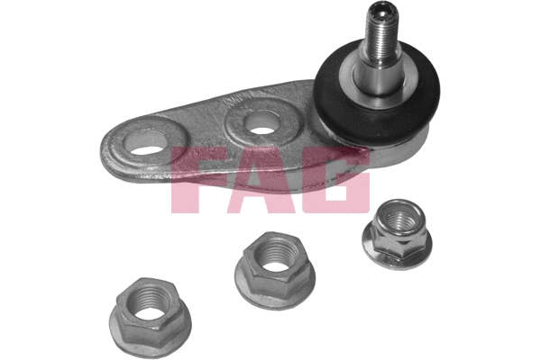 Ball Joint (825 0312 10)