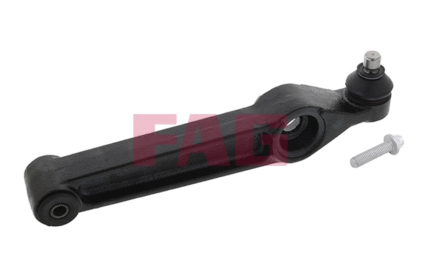 Control/Trailing Arm, wheel suspension (821 0289 10)
