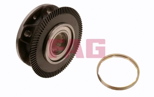 Wheel Bearing Kit (713 6062 80)
