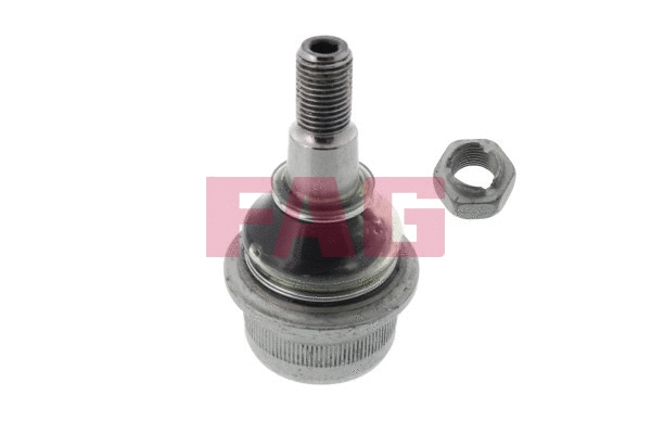 Ball Joint (825 0121 10)