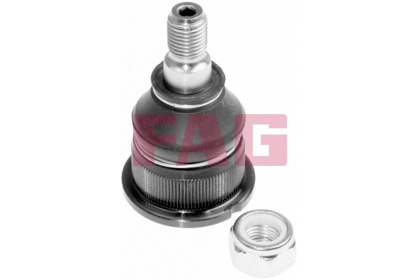 Ball Joint (825 0048 10)