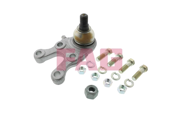 Ball Joint (825 0031 10)
