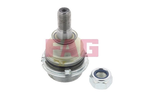 Ball Joint (825 0256 10)
