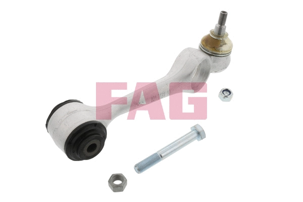Control/Trailing Arm, wheel suspension (821 0181 10)