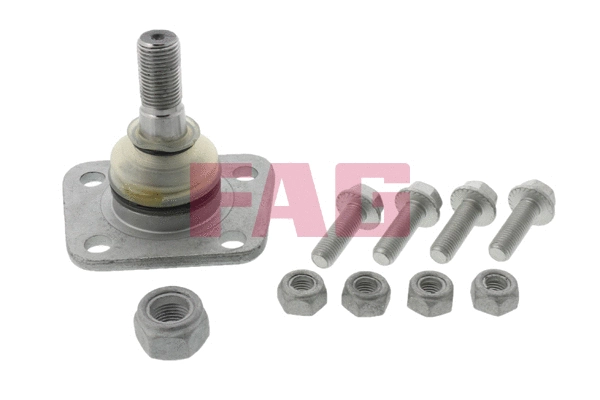 Ball Joint (825 0180 10)