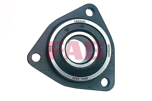 Wheel Bearing (568350C.H75AA)