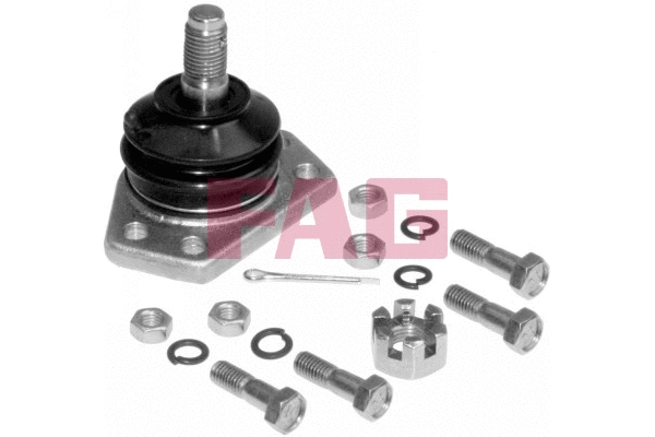 Ball Joint (825 0017 10)