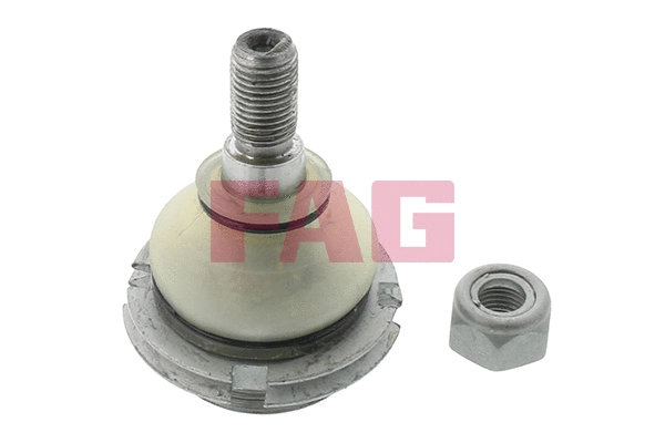 Ball Joint (825 0255 10)