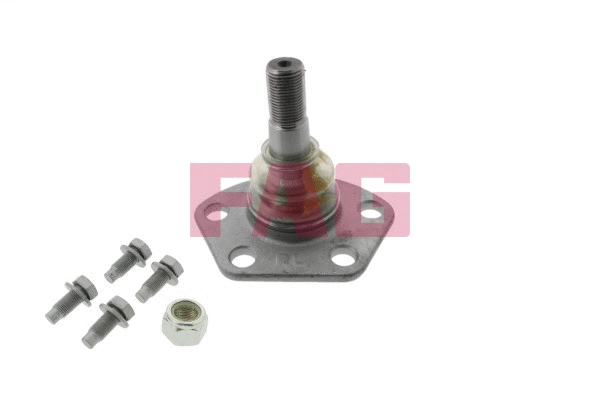 Ball Joint (825 0191 10)