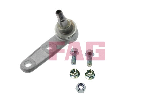 Ball Joint (825 0307 10)
