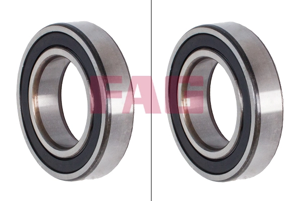 Bearing (6007.2RSR.C3)