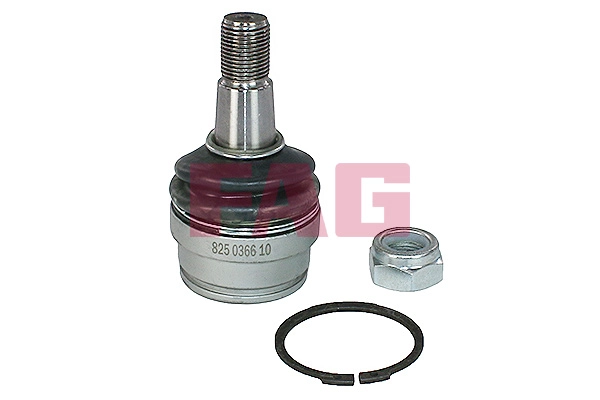 Ball Joint (825 0366 10)