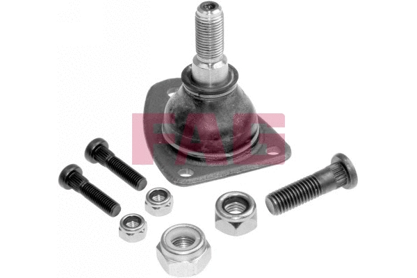 Ball Joint (825 0160 10)