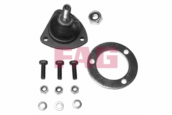 Ball Joint (825 0270 10)
