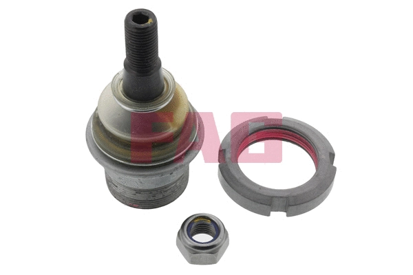 Ball Joint (825 0079 10)