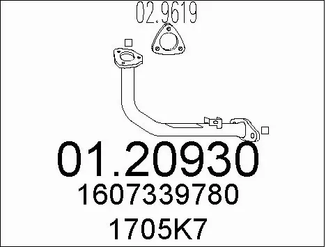 Exhaust Pipe (01.20930)