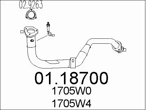 Exhaust Pipe (01.18700)