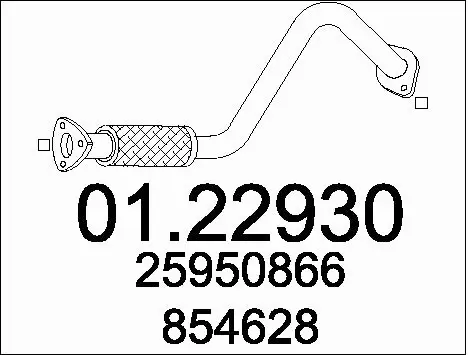 Exhaust Pipe (01.22930)