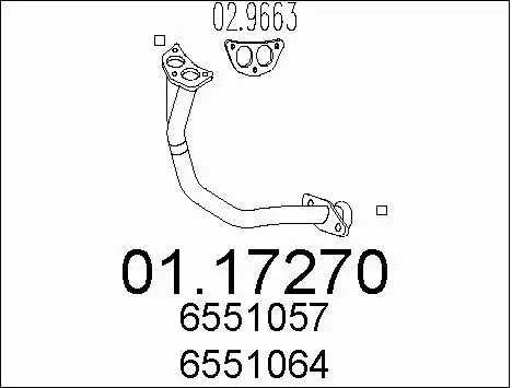 Exhaust Pipe (01.17270)